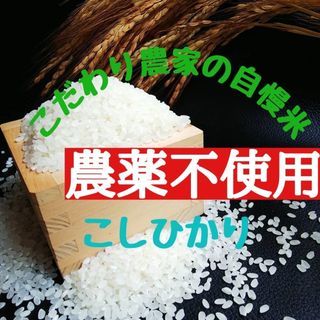 こだわり農家の自慢米  白米10㎏(無農薬栽培)　　　　　令和5年産(米/穀物)