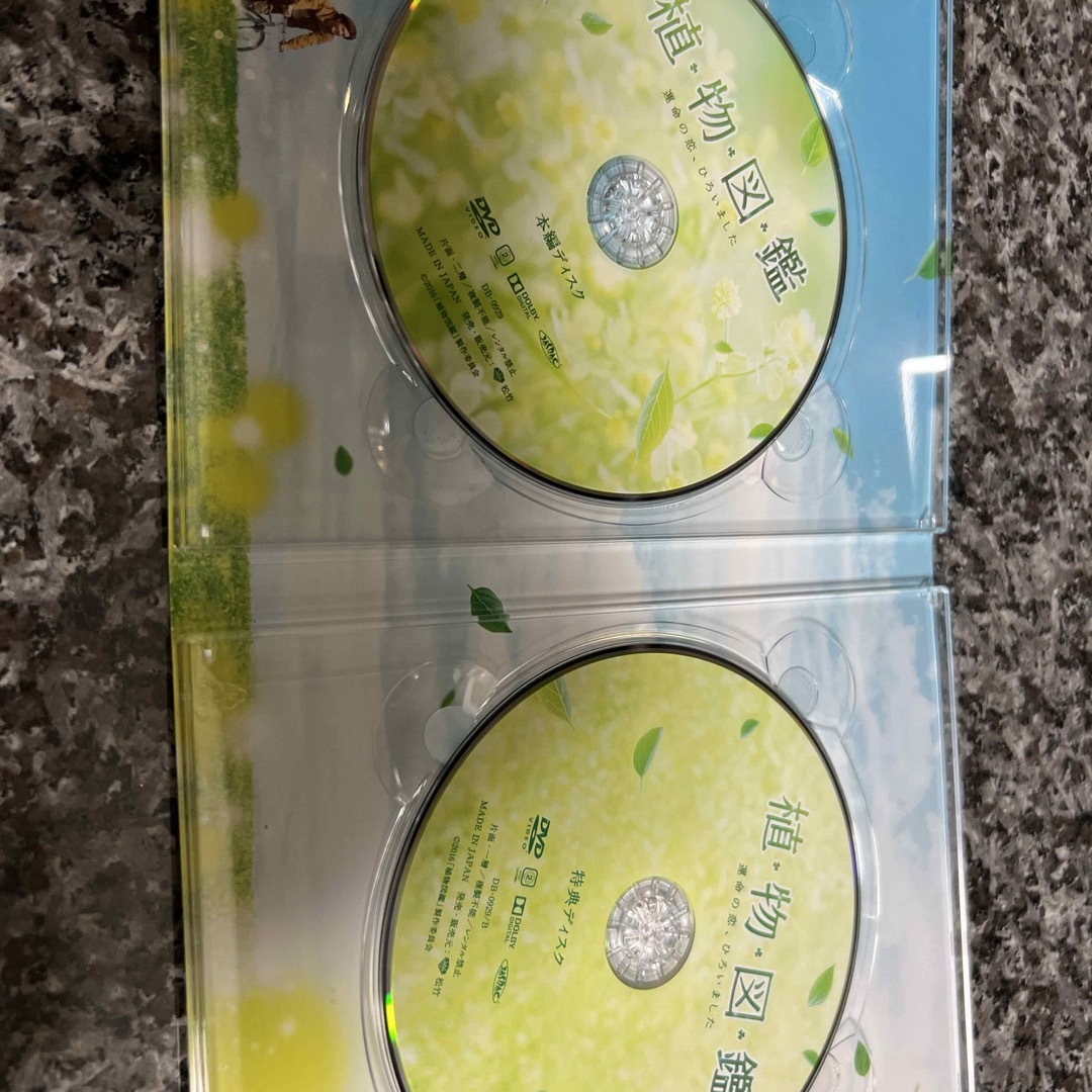 三代目 J Soul Brothers(サンダイメジェイソウルブラザーズ)の植物図鑑 映画 DVD エンタメ/ホビーのDVD/ブルーレイ(日本映画)の商品写真