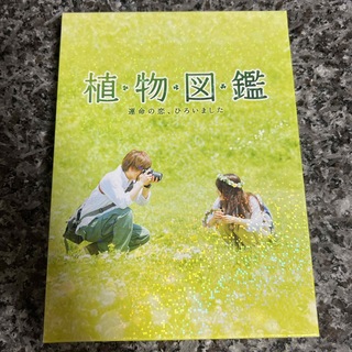 サンダイメジェイソウルブラザーズ(三代目 J Soul Brothers)の植物図鑑 映画 DVD(日本映画)