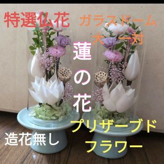 特選仏花　ガラスドーム　大　一対　蓮の花　造花無し　プリザーブドフラワー(プリザーブドフラワー)