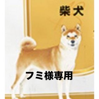 ロイヤルカナン(ROYAL CANIN)のフミ様専用　ロイヤルカナン柴犬成犬用8kg (ペットフード)