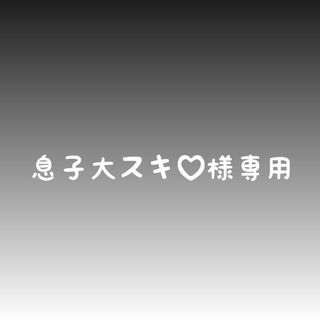 息子大好き♥️様専用(外出用品)