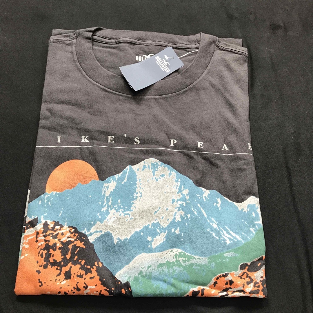 Hollister(ホリスター)の割引あり◎M◎新品正規品◎ホリスター◎HOLLISTER ◎ロングTシャツ送料込 メンズのトップス(Tシャツ/カットソー(七分/長袖))の商品写真