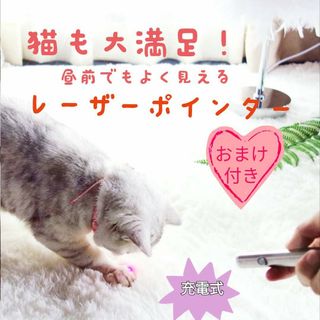 猫用 LEDライト USB充電式(猫)