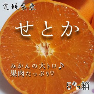 愛媛県産★農家直送★せとか 家庭用5キロ箱(フルーツ)