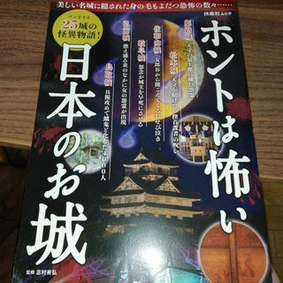 ホントは怖い日本のお城(アート/エンタメ/ホビー)