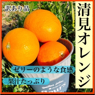 アリダミカン(有田みかん)の有田産　清見オレンジ　5キロ　傷あり　サイズ混合(フルーツ)