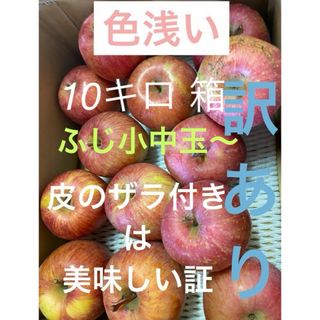 減農薬栽培山形県東根市産皮のザラ付きは美味しい証！なのに色浅い訳あり10k前後(フルーツ)