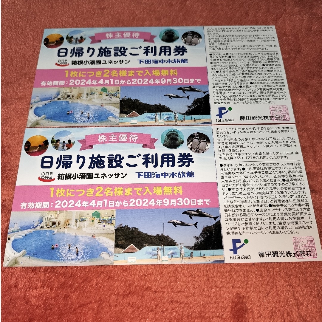 藤田観光 株主優待券 日帰り施設ご利用券 2枚セット チケットの施設利用券(遊園地/テーマパーク)の商品写真