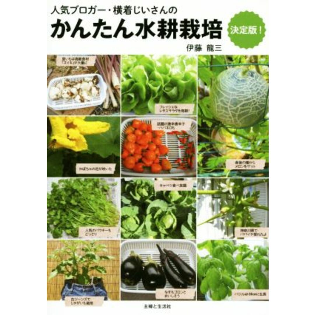 かんたん水耕栽培 決定版! 人気ブロガー・横着じいさんの/伊藤龍三(著者) エンタメ/ホビーの本(住まい/暮らし/子育て)の商品写真
