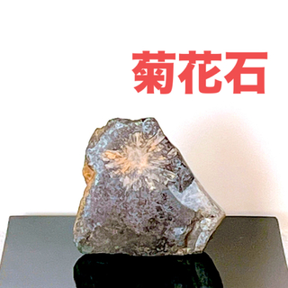 菊花石　鑑賞用　置物　水石　鉱物(置物)