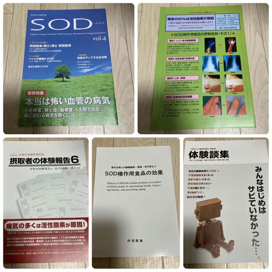 SOD様作用食品の効果　丹羽靱負 エンタメ/ホビーの本(健康/医学)の商品写真