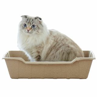 【OFT】 ECO CAT TRAY(エコキャットトレー) 3枚組 サイズ(約)(猫)