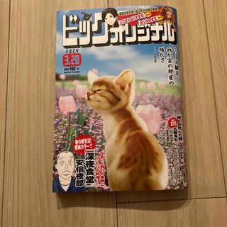 ショウガクカン(小学館)のビッグコミック オリジナル 2024年 3/20号 [雑誌](アート/エンタメ/ホビー)