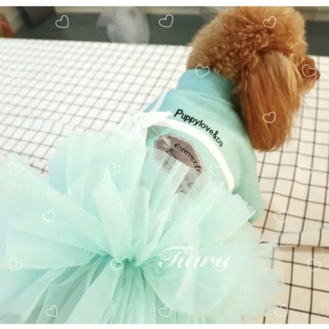 【3名限定】ティファニーブルーカラー可愛い犬服　猫服　チュチュスカート ハンドメイドのペット(ペット服/アクセサリー)の商品写真