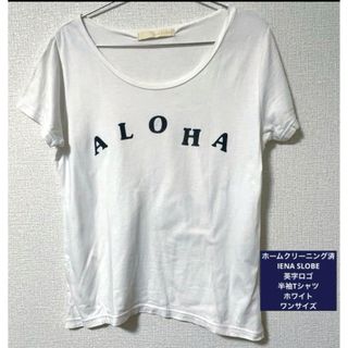 スローブイエナ(SLOBE IENA)のホームクリーニング済　IENA SLOBE英字ロゴ半袖Tシャツ ホワイト フリー(Tシャツ(半袖/袖なし))