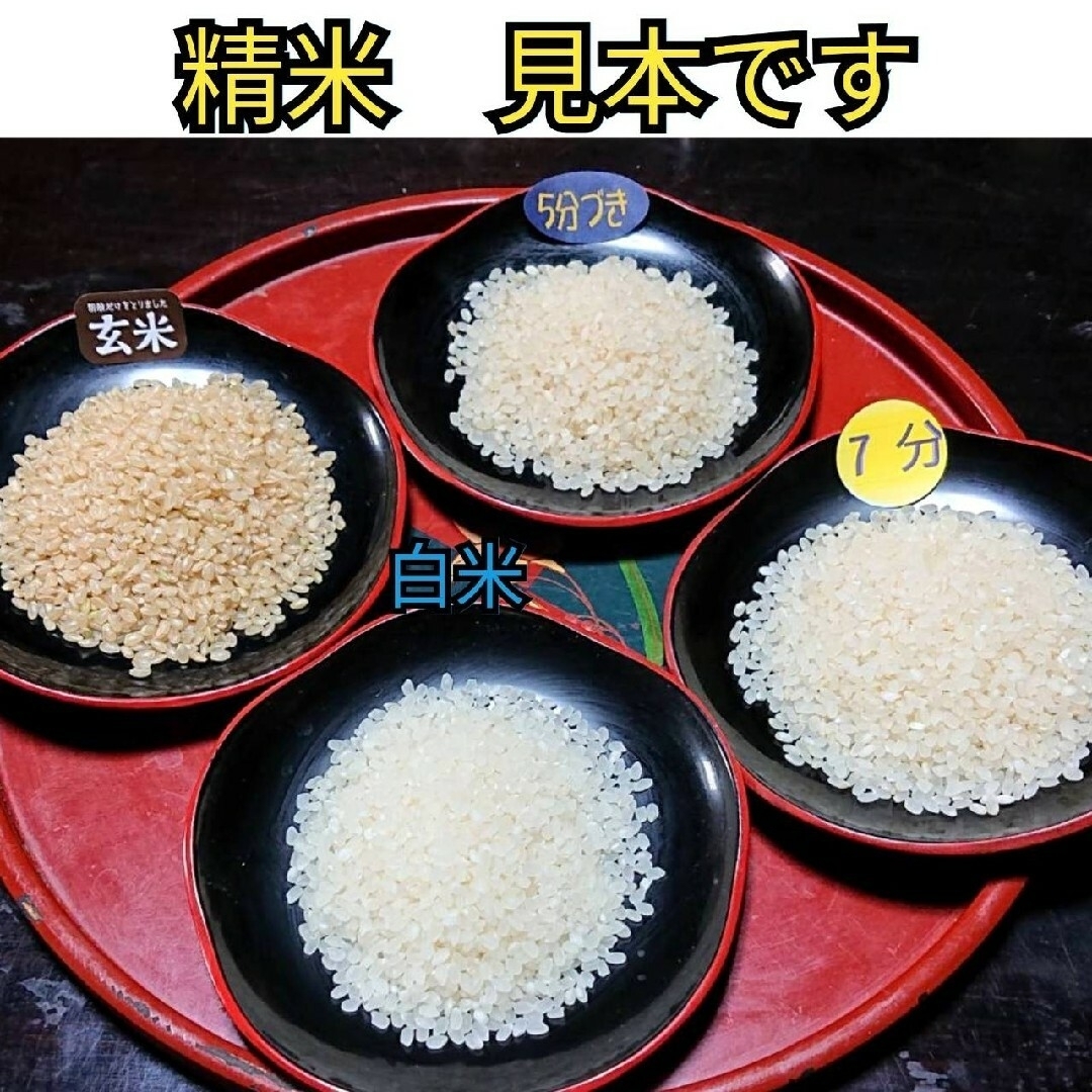 ポイント利用※5分つき　富山県産コシヒカリお試し２合＋３合 食品/飲料/酒の食品(米/穀物)の商品写真