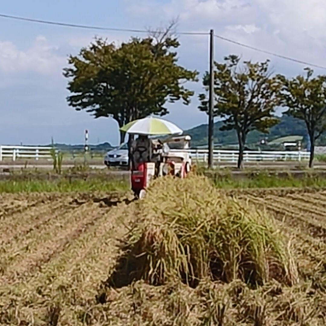 ポイント利用※玄米　富山県産コシヒカリお試し２合＋３合 食品/飲料/酒の食品(米/穀物)の商品写真