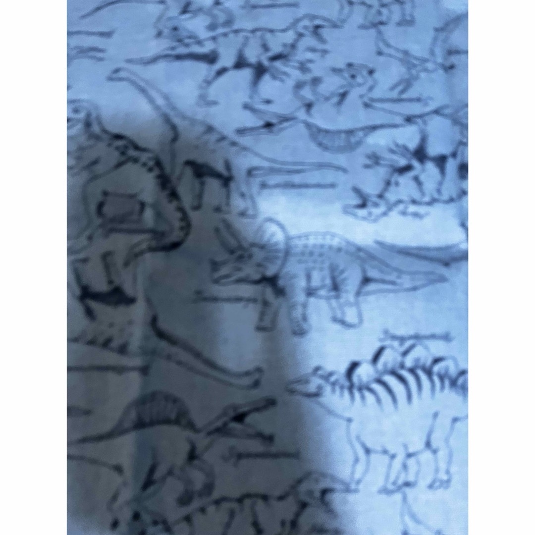 恐竜　生地　ハギレ ハンドメイドの素材/材料(生地/糸)の商品写真