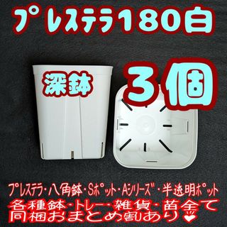 プレステラ深鉢180 白 3個 プラ鉢 スリット鉢 多肉植物(プランター)