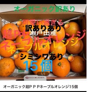 訳ありありオーガニックネーブルオレンジ15個金柑5個付き(フルーツ)