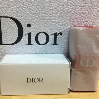 クリスチャンディオール(Christian Dior)の新品クリスチャンディオール　Dior リップケース(新品未使用)(ポーチ)