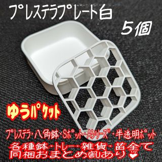 プレステラプレート白 5個 プラ鉢 スリット鉢 多肉植物-ラクマパック-(その他)