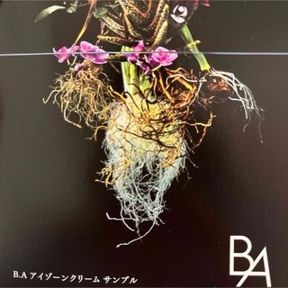 B.A - アイゾーンクリーム