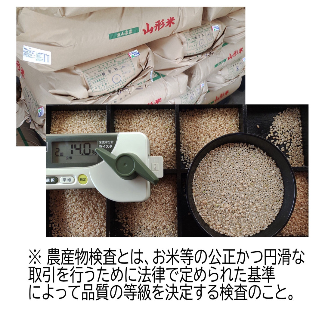 お米　雪若丸２０ｋｇ　めしだけでうまい。2023年産　山形県産　特栽＆大粒  食品/飲料/酒の食品(米/穀物)の商品写真