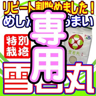 お米　雪若丸２０ｋｇ　めしだけでうまい。2023年産　山形県産　特栽＆大粒 (米/穀物)