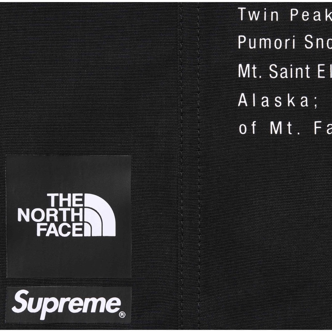 Supreme(シュプリーム)のSupreme The North Face Nylon Short Ｍ メンズのパンツ(ショートパンツ)の商品写真