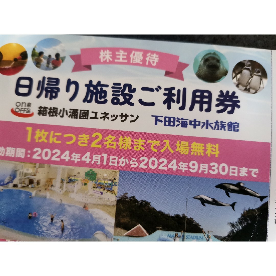 藤田観光　株主優待　ユネッサンなど利用券6枚 + 優待30枚セット チケットの施設利用券(遊園地/テーマパーク)の商品写真