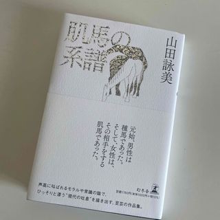 肌馬の系譜(文学/小説)