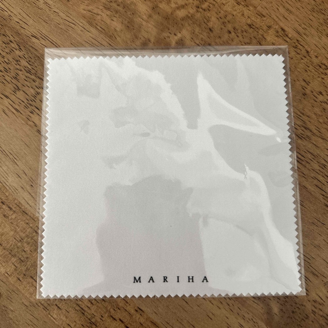MARIHA(マリハ)のmaria Ancient Memoriesネックレス　45cm レディースのアクセサリー(ネックレス)の商品写真