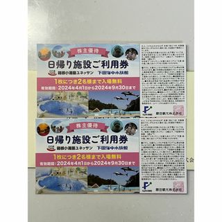 藤田観光 株主優待 日帰り施設ご利用券 ２枚セット(その他)