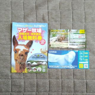 那須どうぶつ王国 鴨川シーワールド マザー牧場 割引券(動物園)