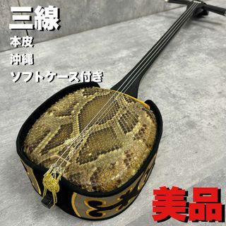 三線　蛇皮　本皮　沖縄　琉球楽器　弦楽器　伝統楽器　ケース　一枚張り　三味線(三線)