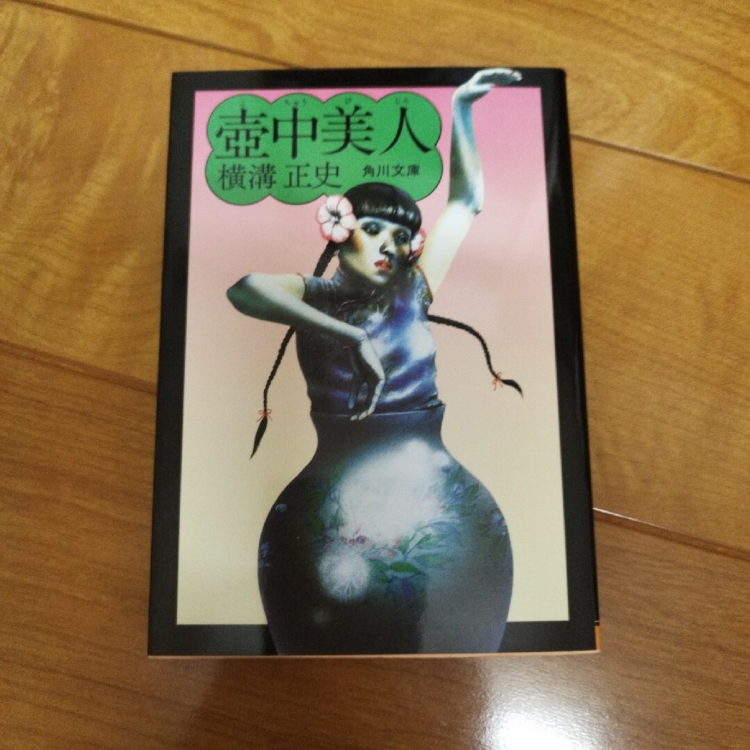 壺中美人 エンタメ/ホビーの本(文学/小説)の商品写真
