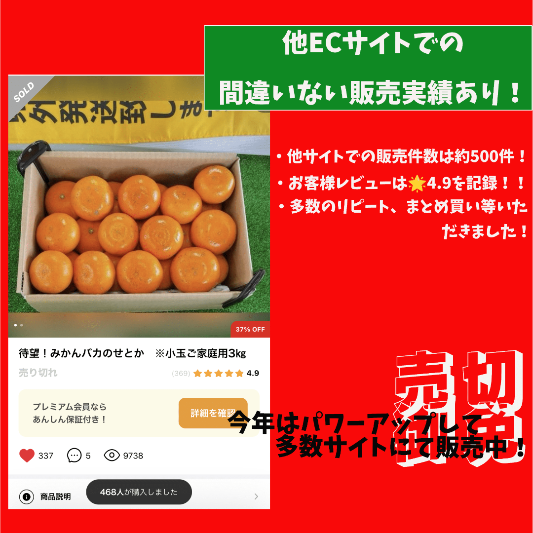 みかんバカの せとか 家庭用3Kg 食品/飲料/酒の食品(フルーツ)の商品写真