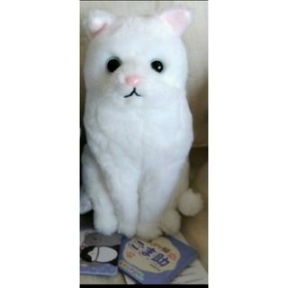 ほっこり猫ごま助　ST　ネコ　ぬいぐるみ　A(ぬいぐるみ)