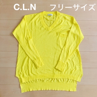 シーエルエヌ(C. L. N)のC.L.N☆薄手ニット　フリーサイズ(ニット/セーター)