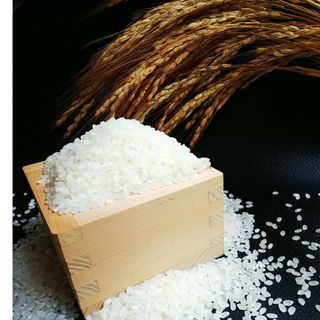 兵庫県産ヒノヒカリ　無洗米1.8kg(令和5年産)(米/穀物)