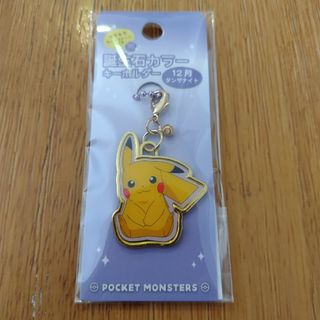 ポケモン - ポケットモンスター 誕生石カラーキーホルダー ピカチュウ 12月 タンザナイト