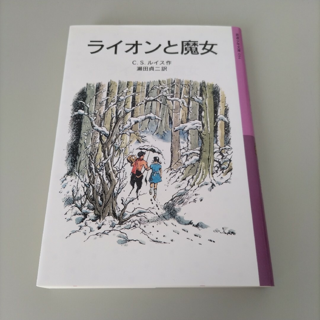 岩波書店(イワナミショテン)のライオンと魔女 エンタメ/ホビーの本(その他)の商品写真