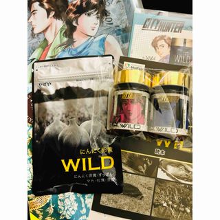 特典同封★ にんにく卵黄WILD やずや 62球入