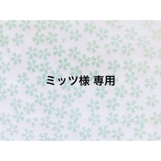 【ミッツ様 専用】給食セット＊2(外出用品)