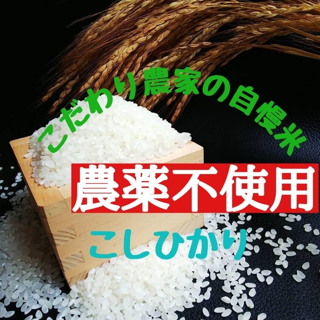 こだわり農家の自慢米  白米10㎏(無農薬栽培)　　　　　令和5年産 食品/飲料/酒の食品(米/穀物)の商品写真