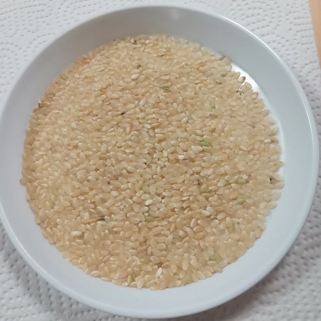 新米❢ 令和５年 減農薬 埼玉県産 彩のきずな 玄米 10キロ 食品/飲料/酒の食品(米/穀物)の商品写真