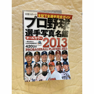 プロ野球選手　写真名鑑　2013(趣味/スポーツ)