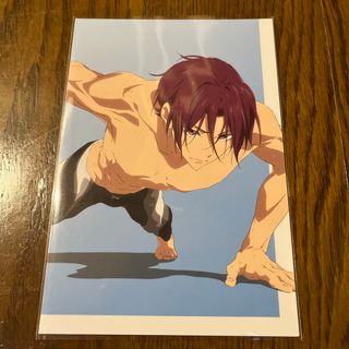 Free! ポストカード 松岡凛②(カード)